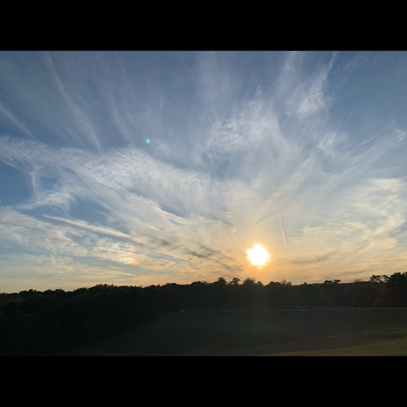 alexa_herbay